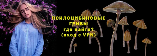 PSILOCYBIN Заволжье
