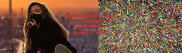 PSILOCYBIN Заволжье